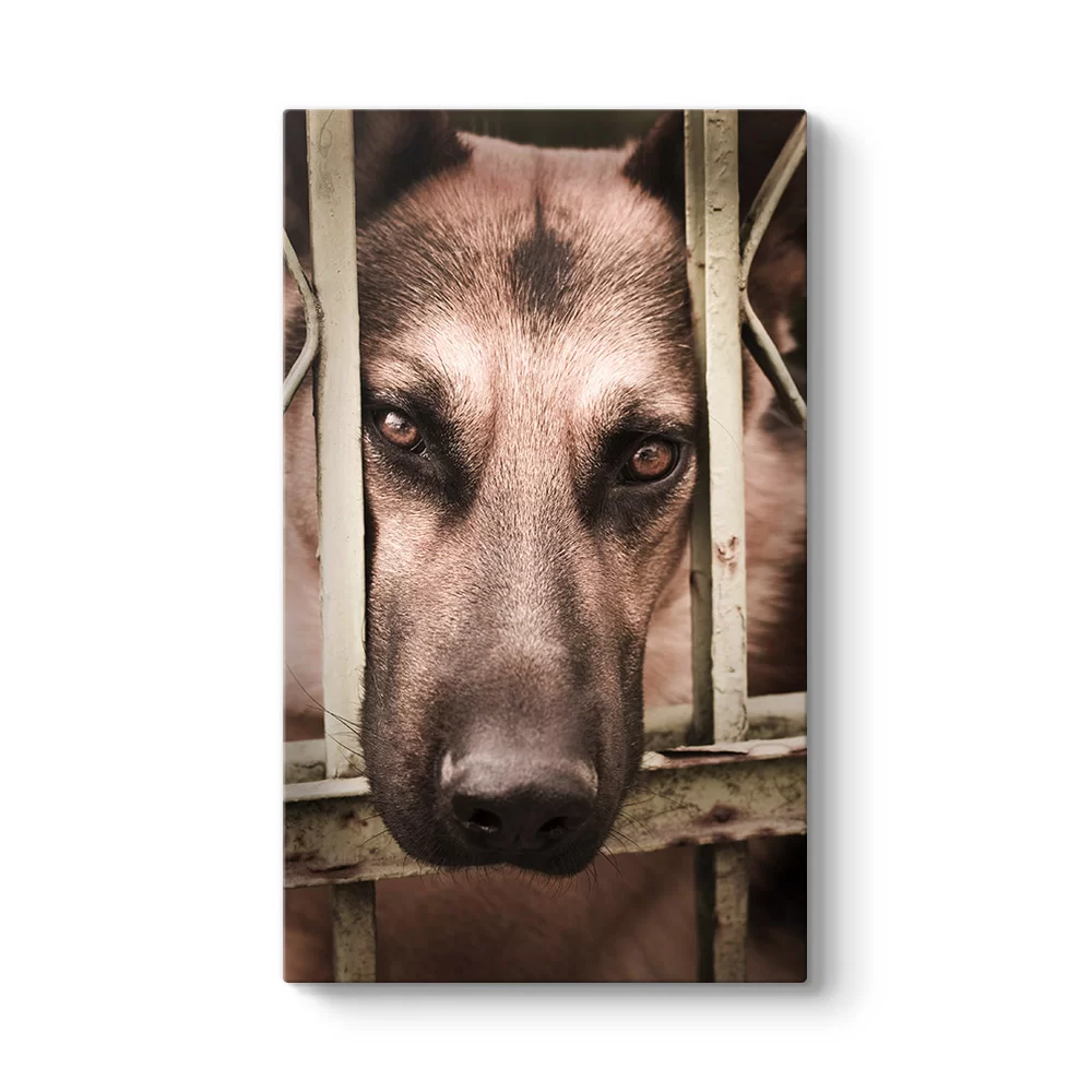 Kurt Köpeği Tablosu - Model 35